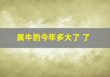 属牛的今年多大了 了